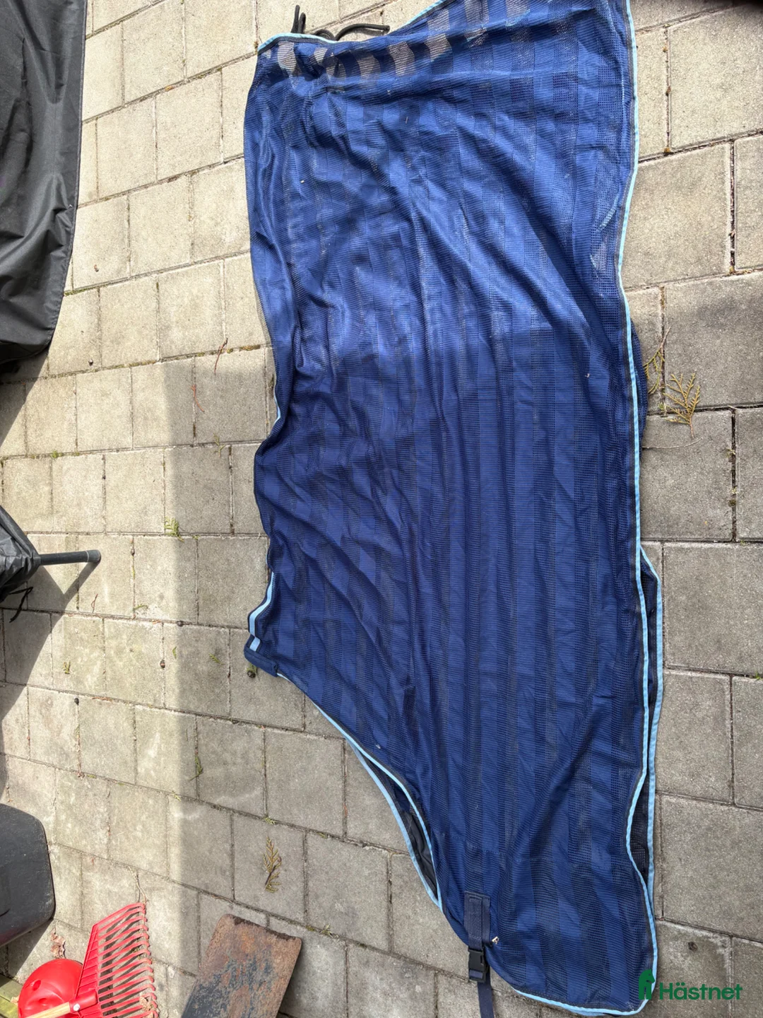 Övrig Hästutrustning hästutrustning till salu: Hästsaker - Annons 1