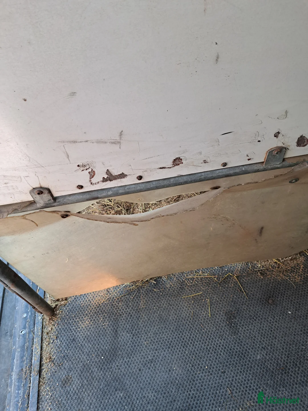 Hästtransporter  fordon & transport till salu: Star x 3000 år2005 - Annons 15