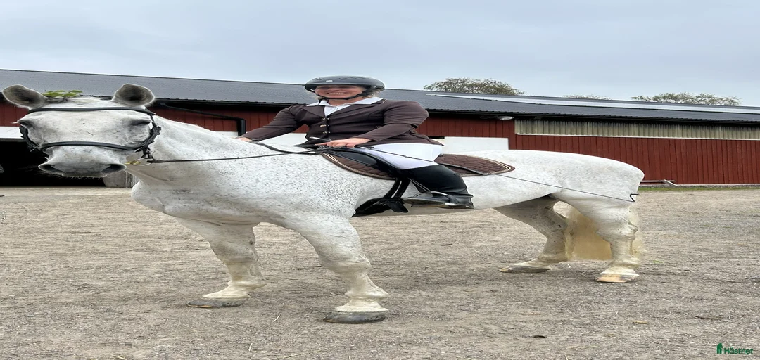 Galleribild {{count}}