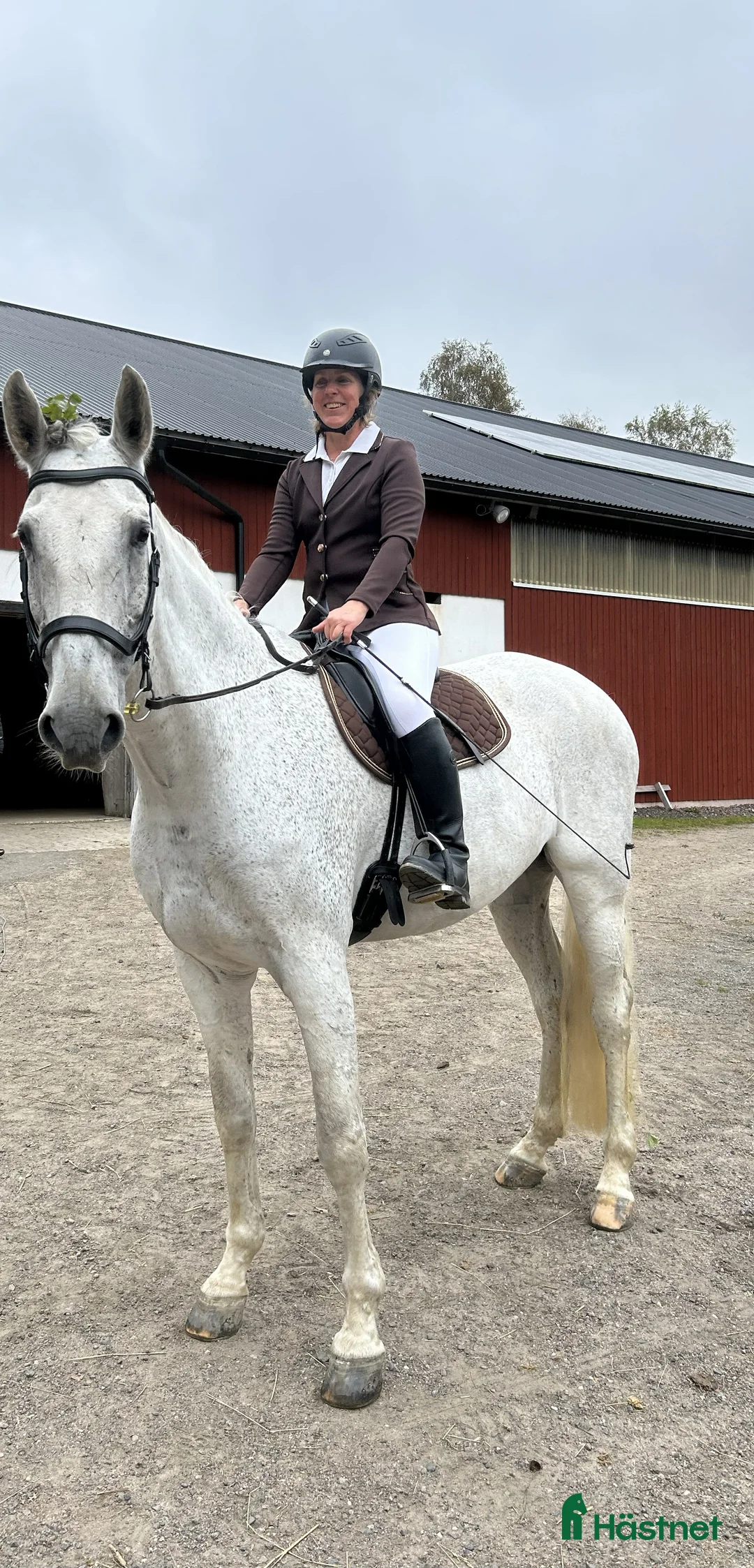 Galleribild {{count}}