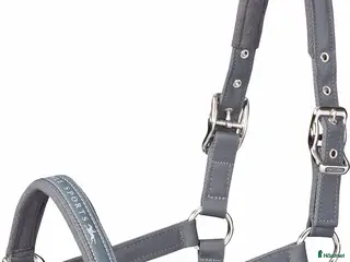 Övrig Hästutrustning hästutrustning Schockemöle grimma Memphis - Annons 7