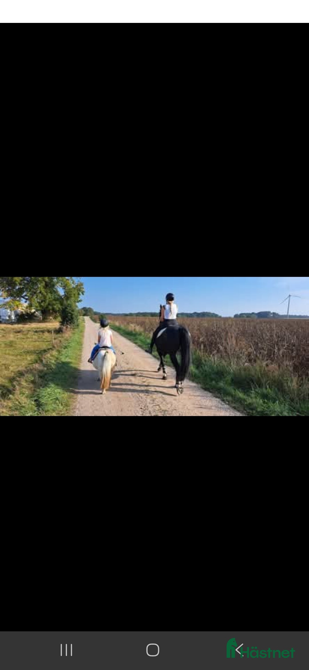  stallplats finnes: Stallplatser utanför Stehag i Stehag - Annons 4