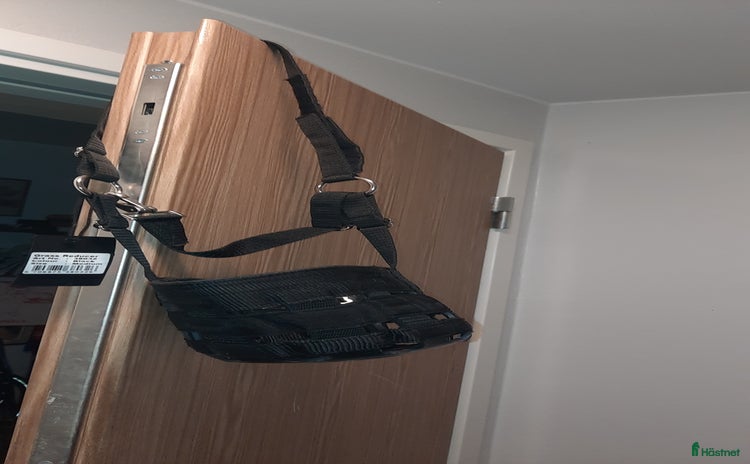 Övrig Hästutrustning hästutrustning till salu i Borås - Annons 20