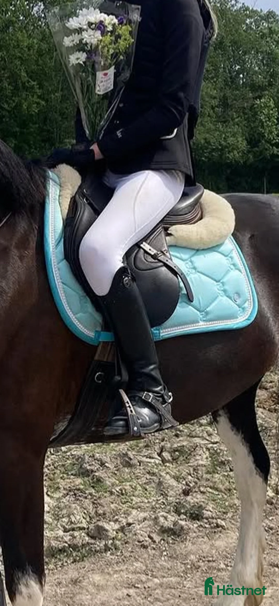 Schabrak & Vojlockar hästutrustning till salu: PS of sweden schabrak - Annons 1