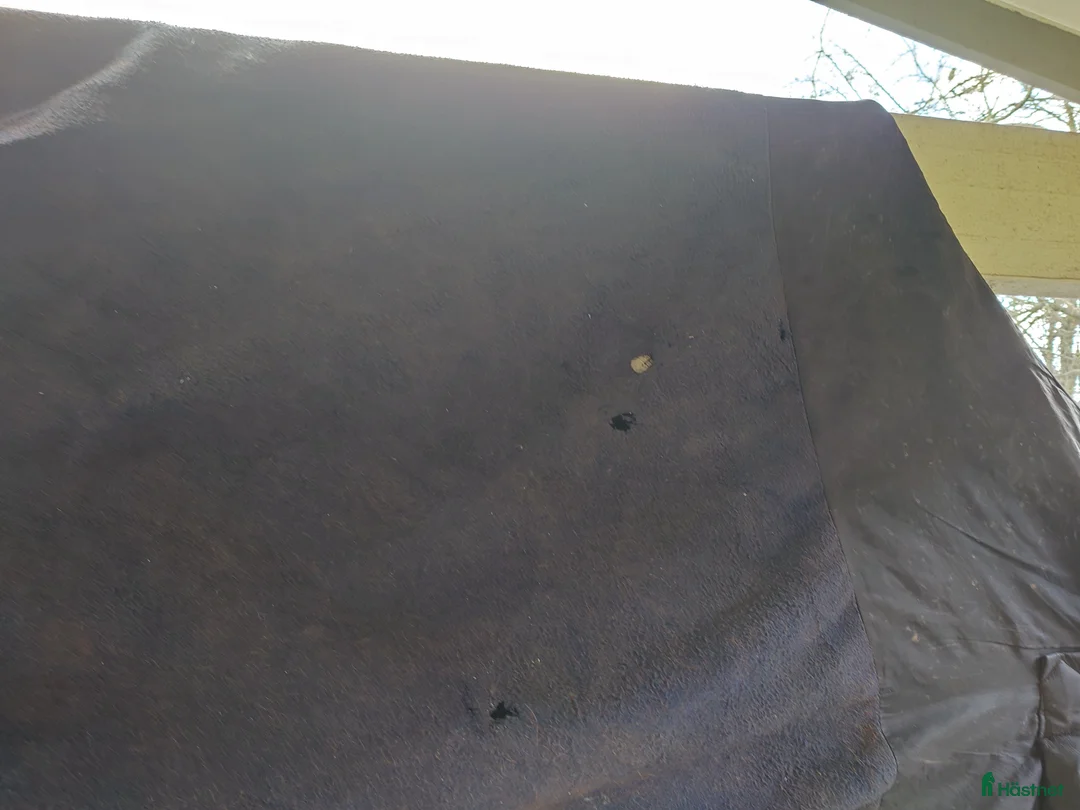 Täcken hästutrustning till salu: Tjockt vattenavvisande vintertäcke i Kista - Annons 13