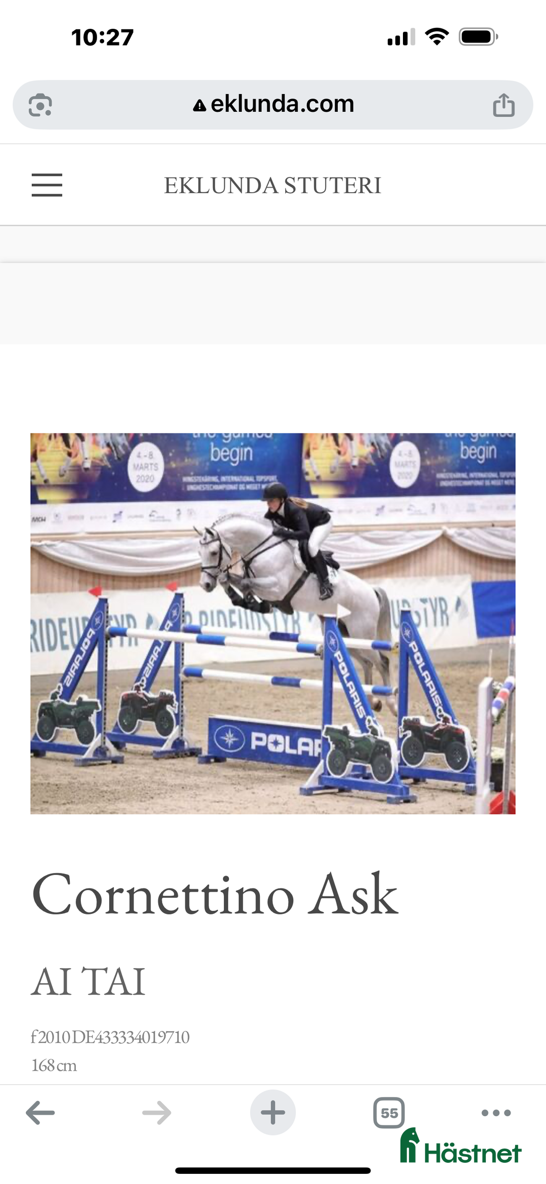 Hoppning hästar till salu: Blivande hoppstjärna  - Annons 3