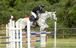 Fälttävlan hästar till salu: Erfaren Fälttävlans- & hopp ponny  i Vallentuna - Annons 1