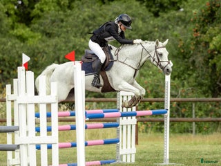 hästar i Vallentuna - Annons 14