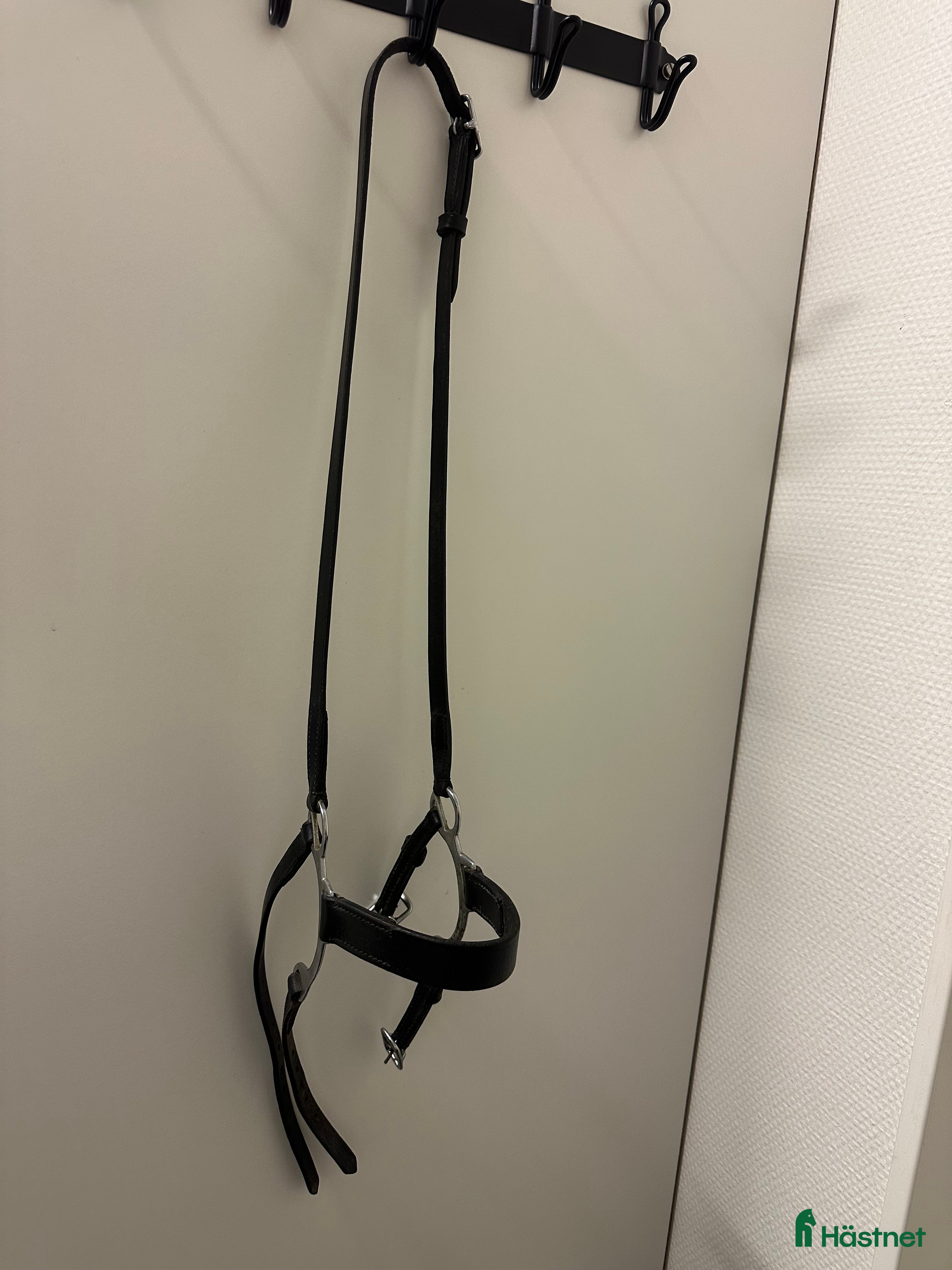 Träns hästutrustning till salu: Bygelnosgrimma i Kristianstad - Annons 11