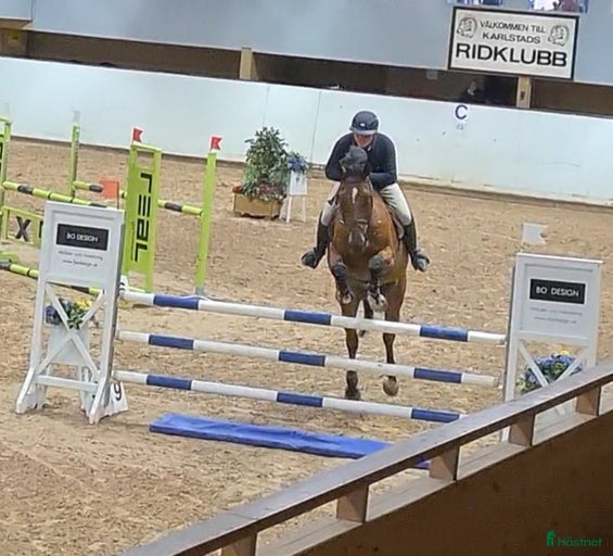 Galleribild {{count}}