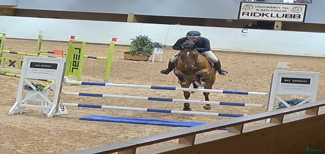 Galleribild {{count}}