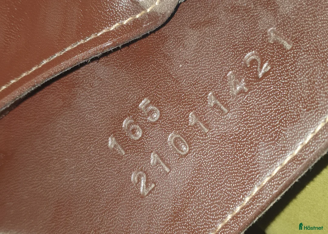 Sadlar hästutrustning till salu: Mycket fin hoppsadel - Annons 6