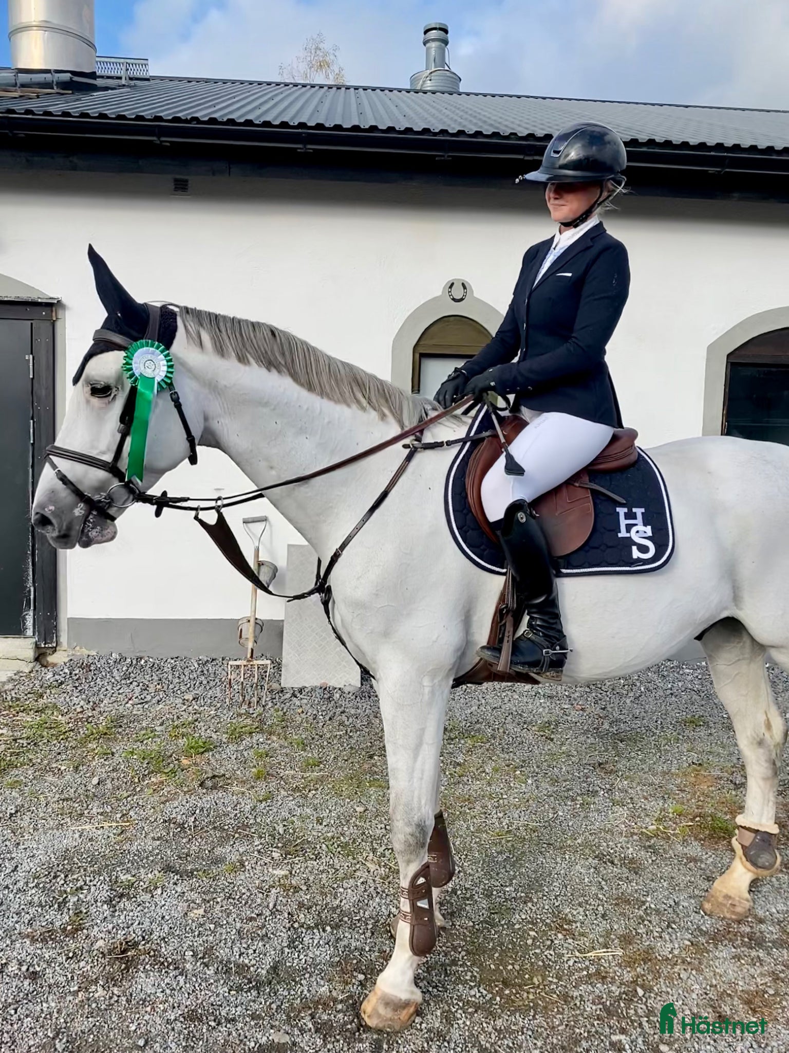  hästar Snygg allround häst - Annons 2