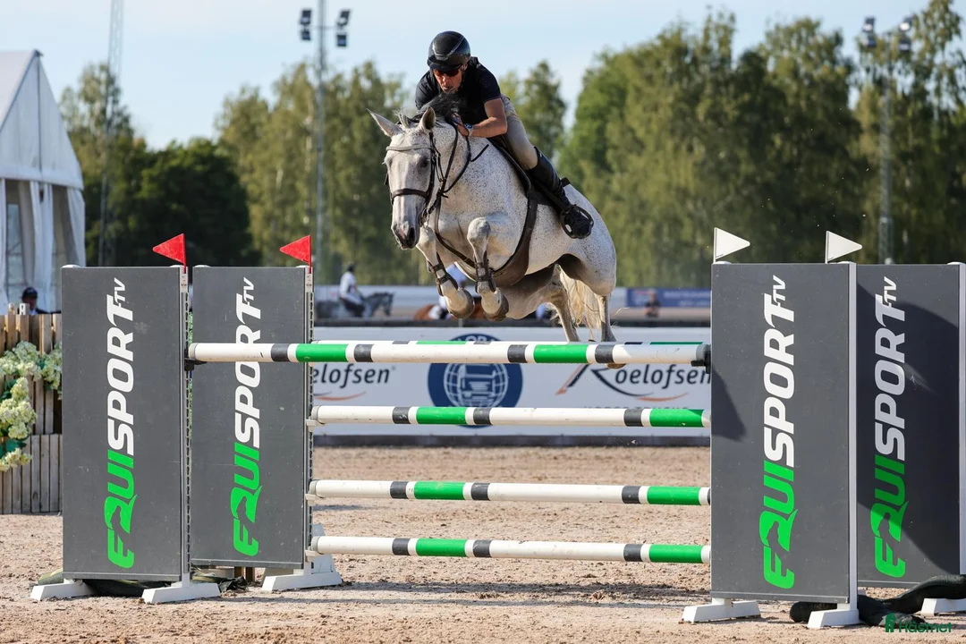 Hoppning hästar till salu: Lovande unghäst i Kungsängen - Annons 2