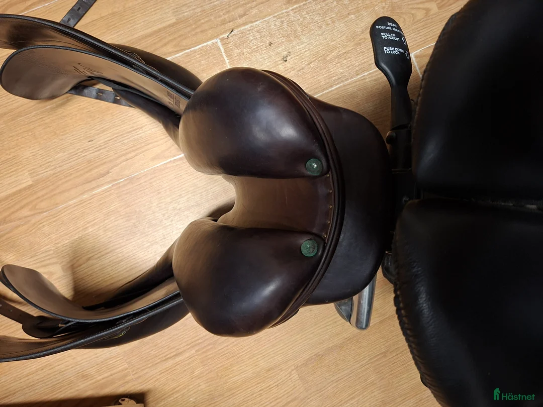 Sadlar hästutrustning till salu: Amerigo Dj - Annons 5