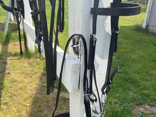 Övrig Hästutrustning hästutrustning till salu: Sadelkammarrensning i Linköping - Annons 3