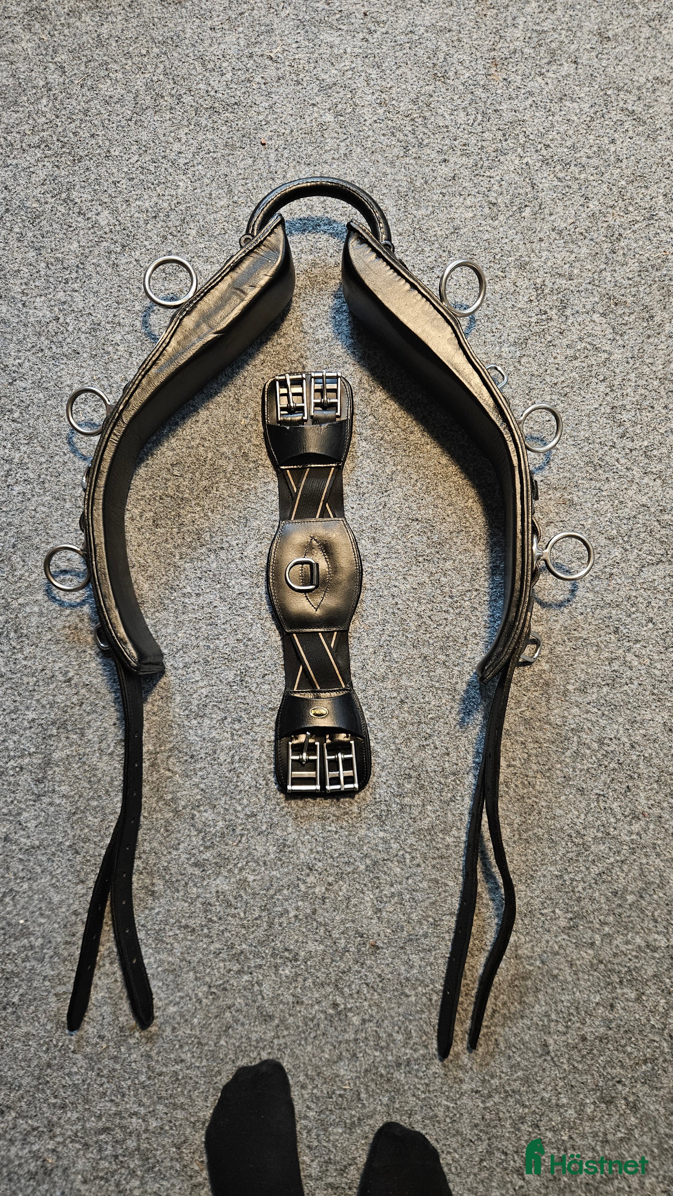 Övrig Hästutrustning hästutrustning Globus tömkörningsgjord - Annons 1