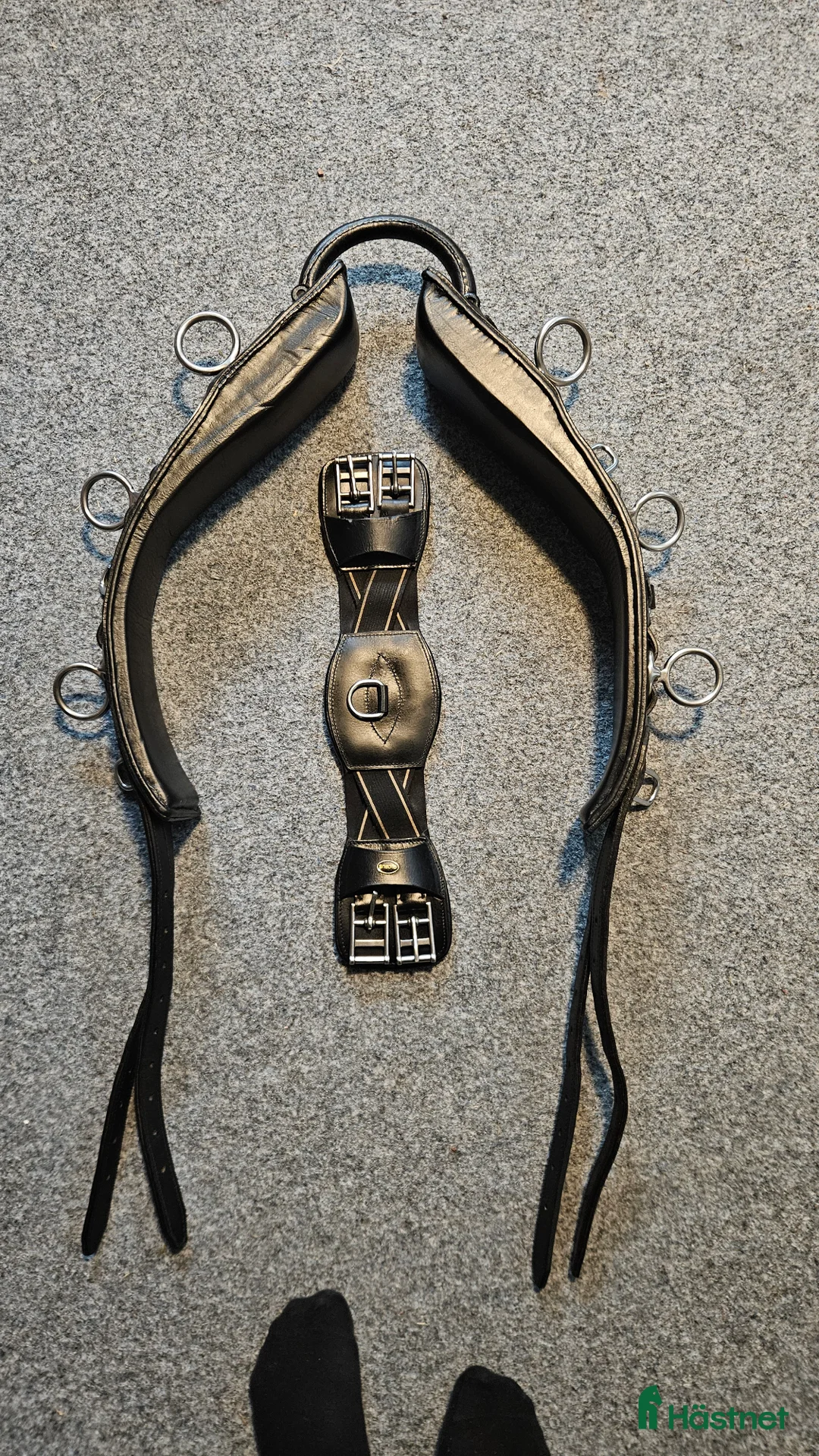 Övrig Hästutrustning hästutrustning till salu: Globus tömkörningsgjord - Annons 1