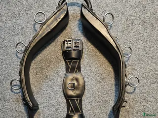 Övrig Hästutrustning hästutrustning Globus tömkörningsgjord - Annons 2