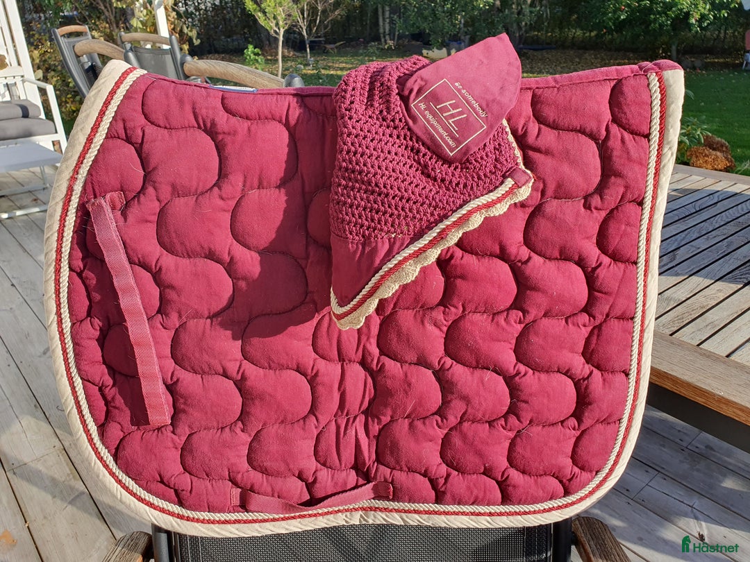 Schabrak & Vojlockar hästutrustning till salu: Schabrak strl full i Trollhättan - Annons 6