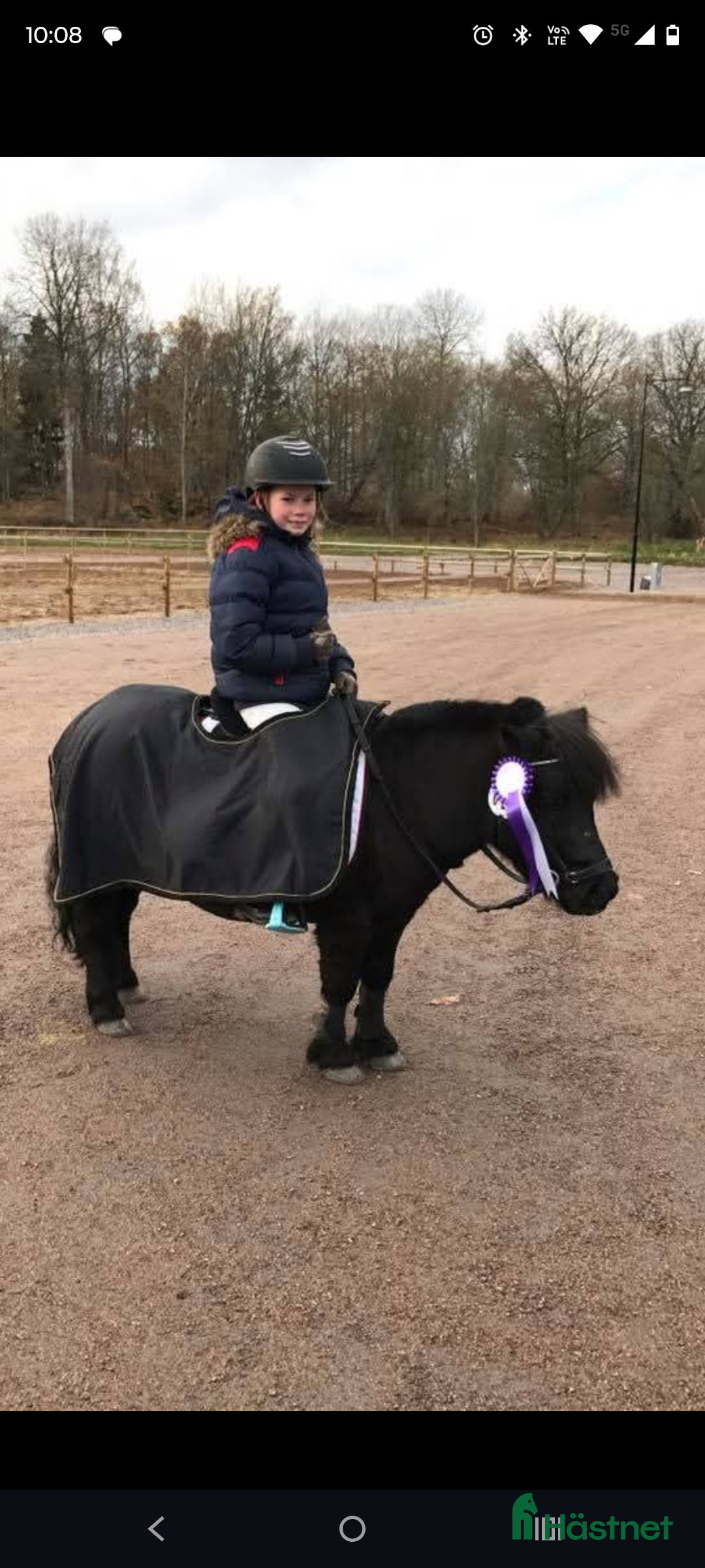 Allround hästar till salu: Underbar shetlandsponny  i Skara - Annons 5