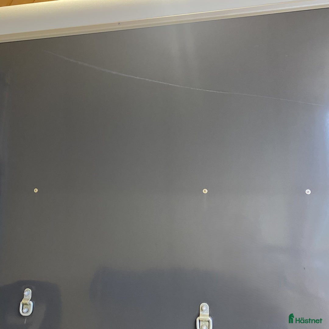 Hästtransporter  fordon & transport till salu: Promax med AidSystem och sadelskåp i Kvicksund - Annons 15