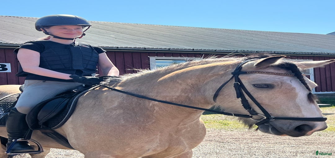 Galleribild {{count}}