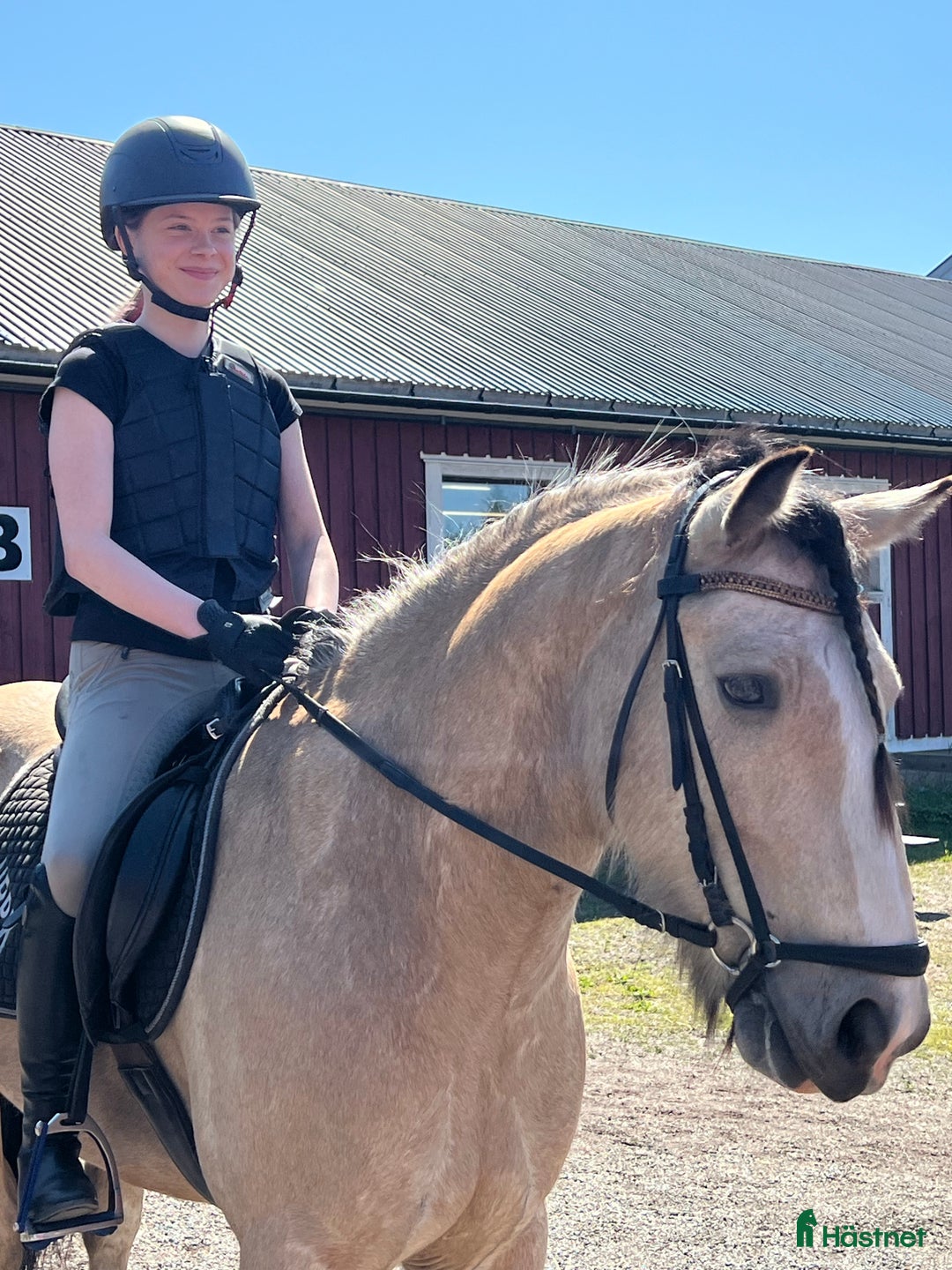 Galleribild {{count}}