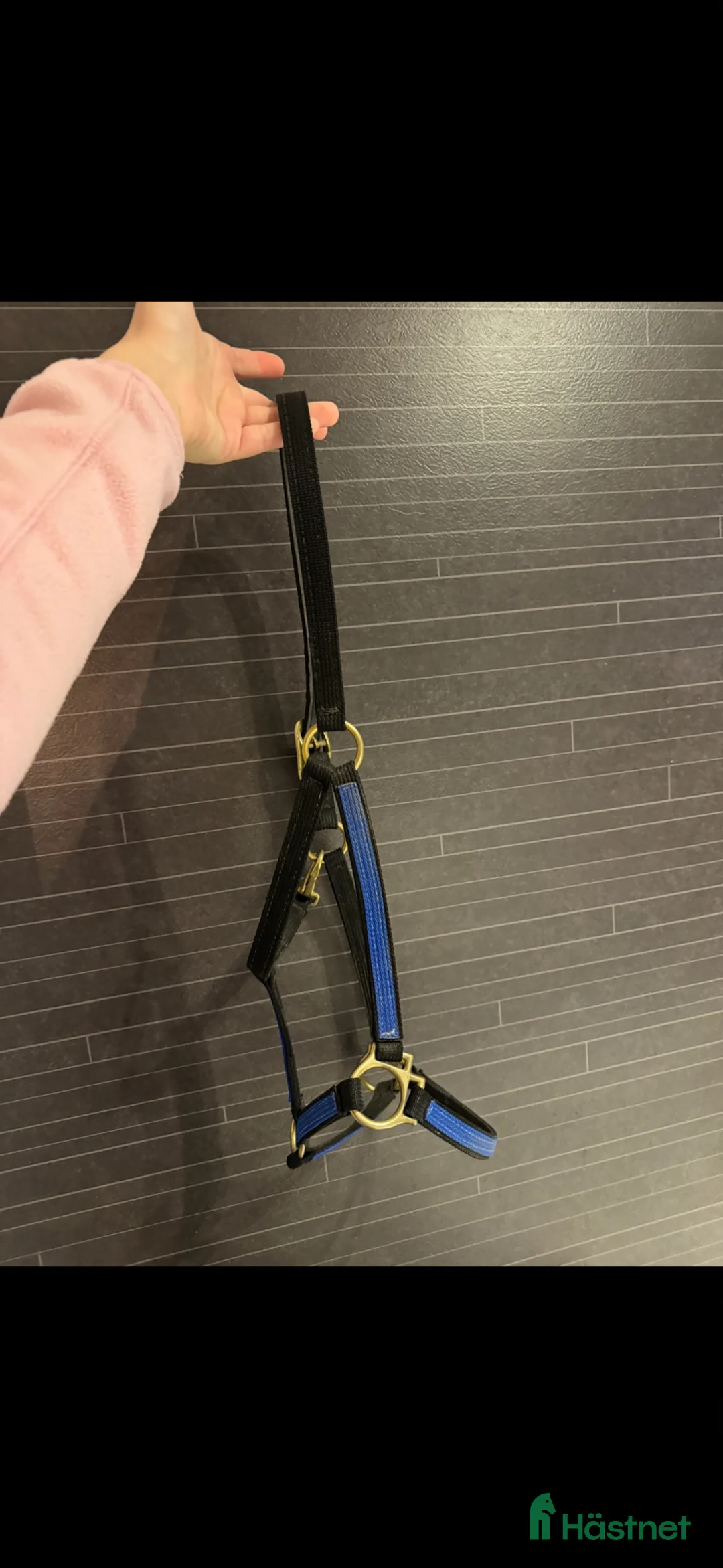 Övrig Hästutrustning hästutrustning till salu: Jätte fin walsh grimma  - Annons 4