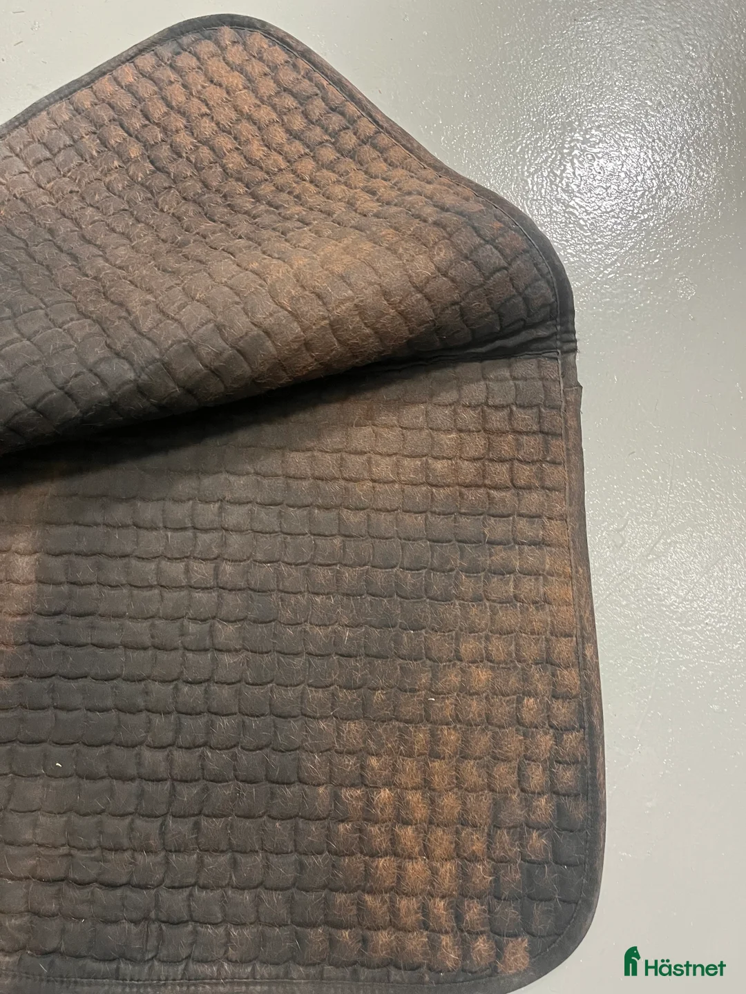 Schabrak & Vojlockar hästutrustning till salu: Svart hoppschabrak i Stockholm - Annons 2