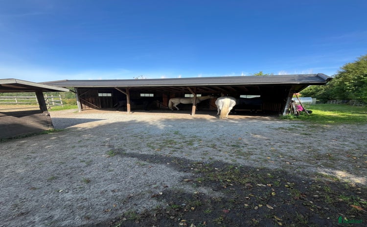  stallplats i Alingsås - Annons 11