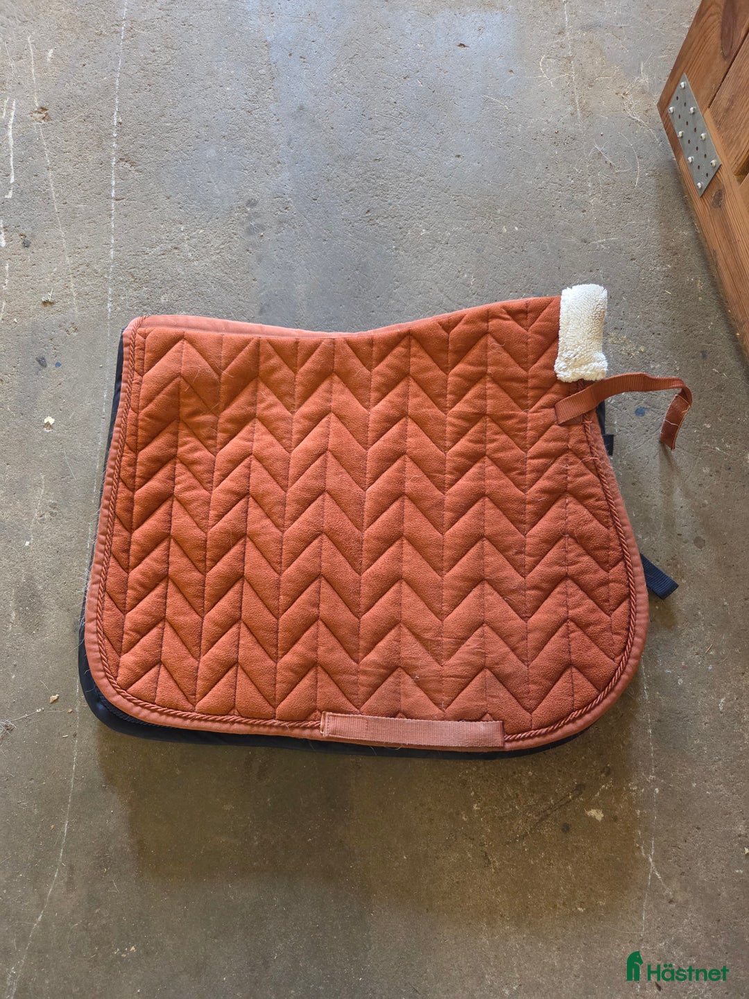 Schabrak & Vojlockar hästutrustning till salu: Häst grejer  i Ulrika - Annons 6