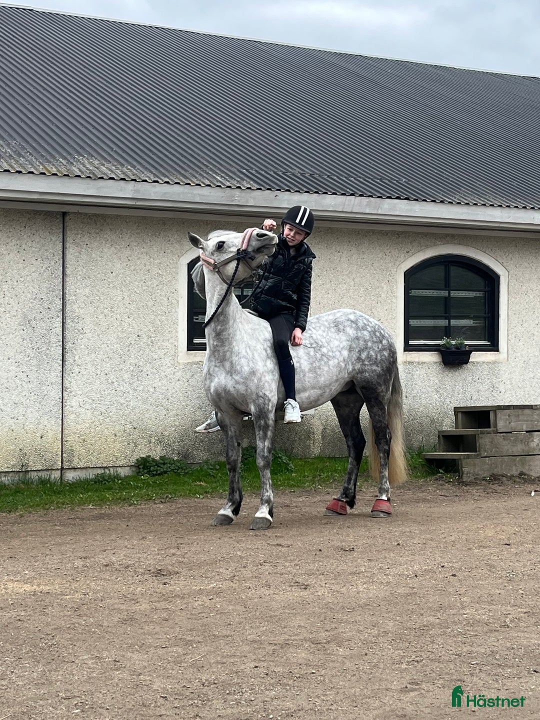 Hoppning hästar till salu: Fantastisk C-ponny säljes. i Grödinge - Annons 2