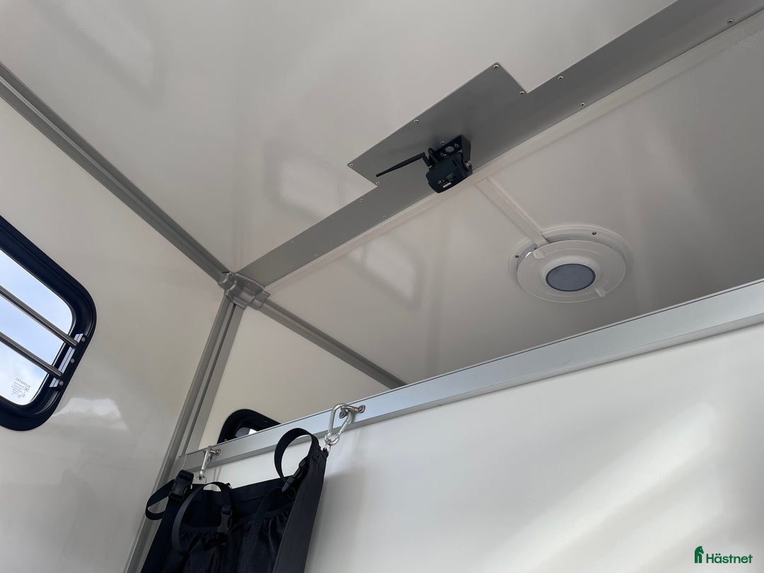 Hästtransporter  fordon & transport till salu: UME B60 - Nu kör vi Kampanj! i Borlänge - Annons 6