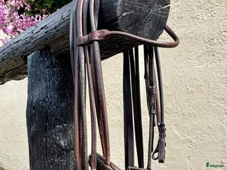 Träns hästutrustning till salu: Brunt kandar i Högsby - Annons 23