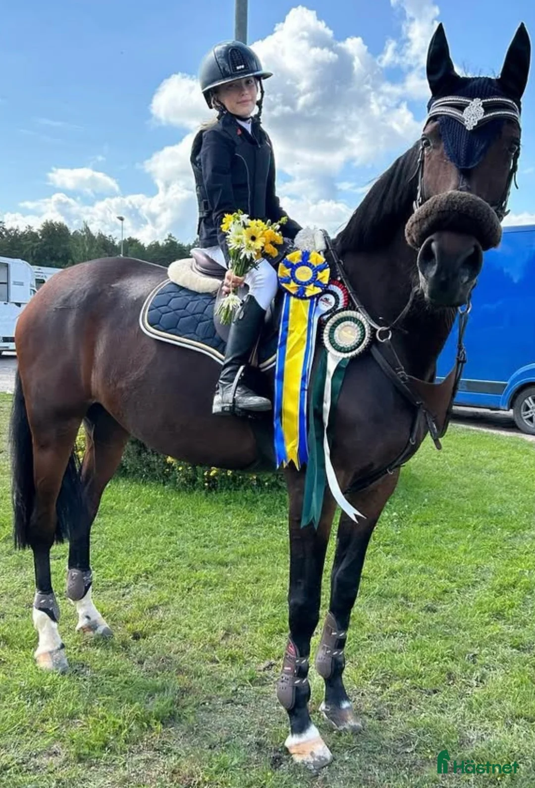 Hoppning hästar till salu: Häst för satsande children lr Junior  - Annons 5