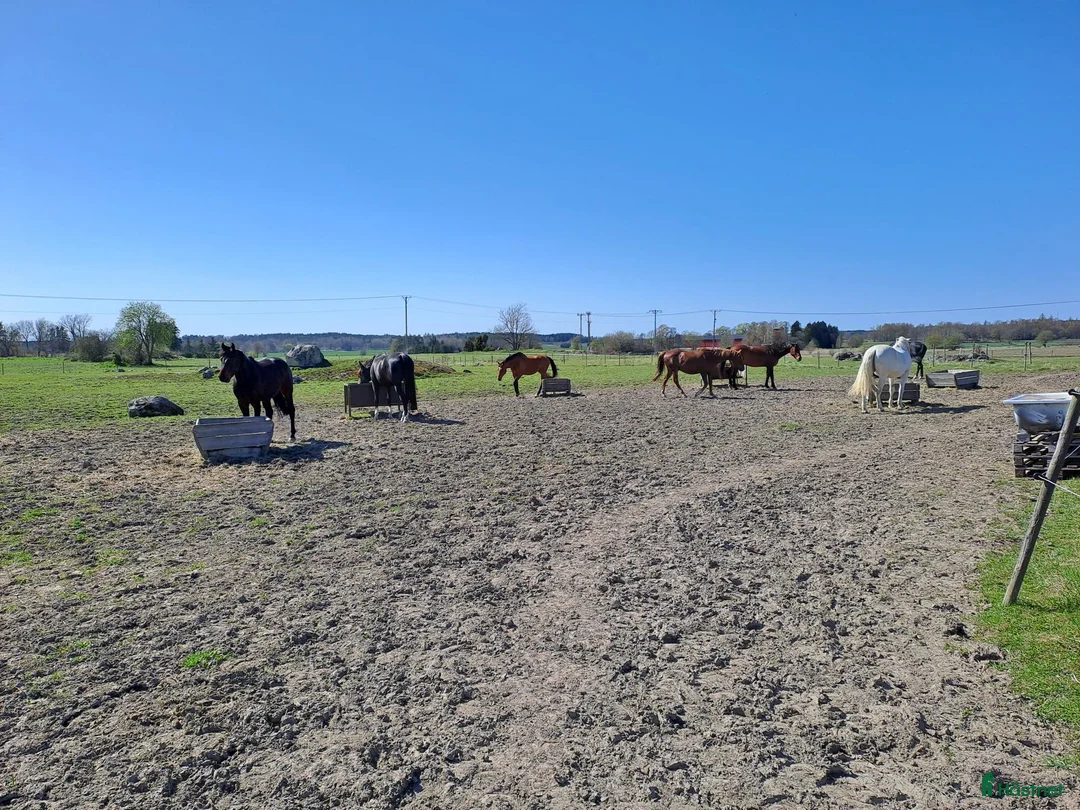  stallplats finnes: Lediga Stallplatser Önsta Stallet i Bro - Annons 8