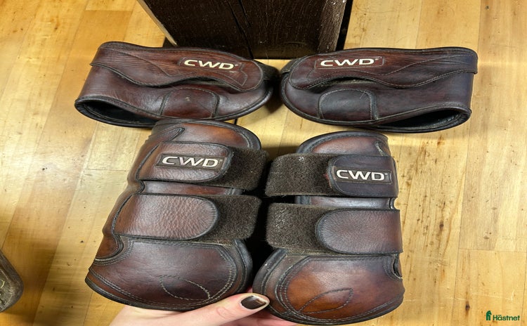 Benskydd hästutrustning till salu: CWD skydd i kalvskinn i Helsingborg - Annons 18