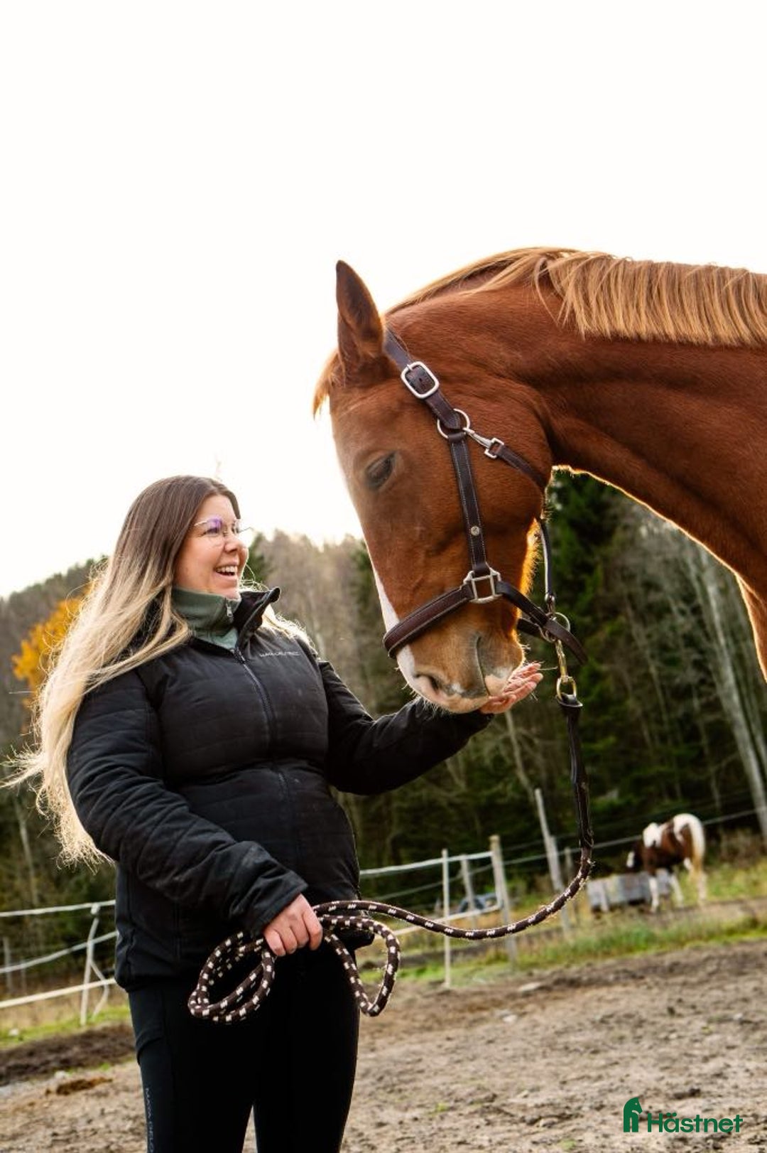 Galleribild {{count}}