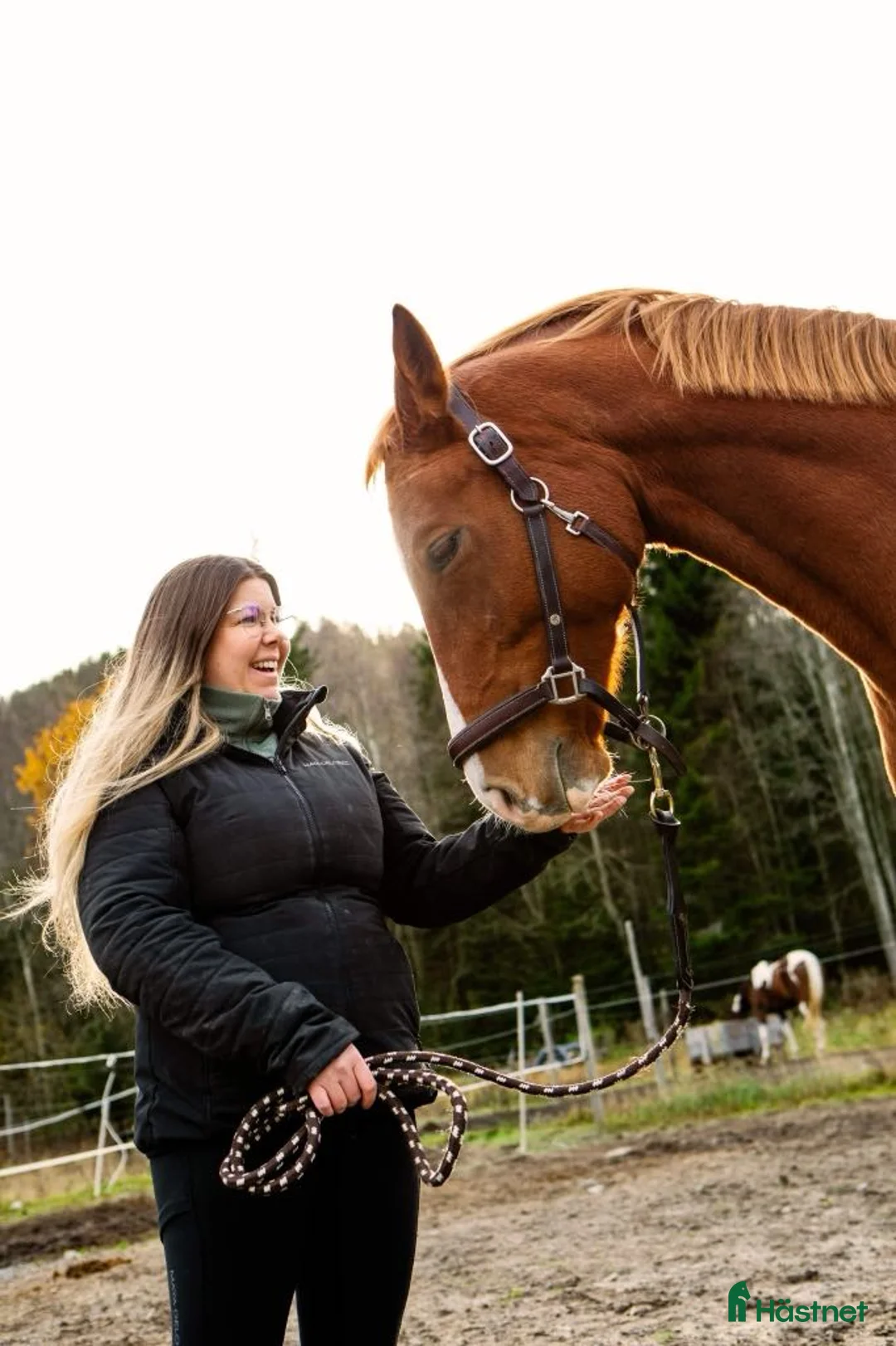 Galleribild {{count}}