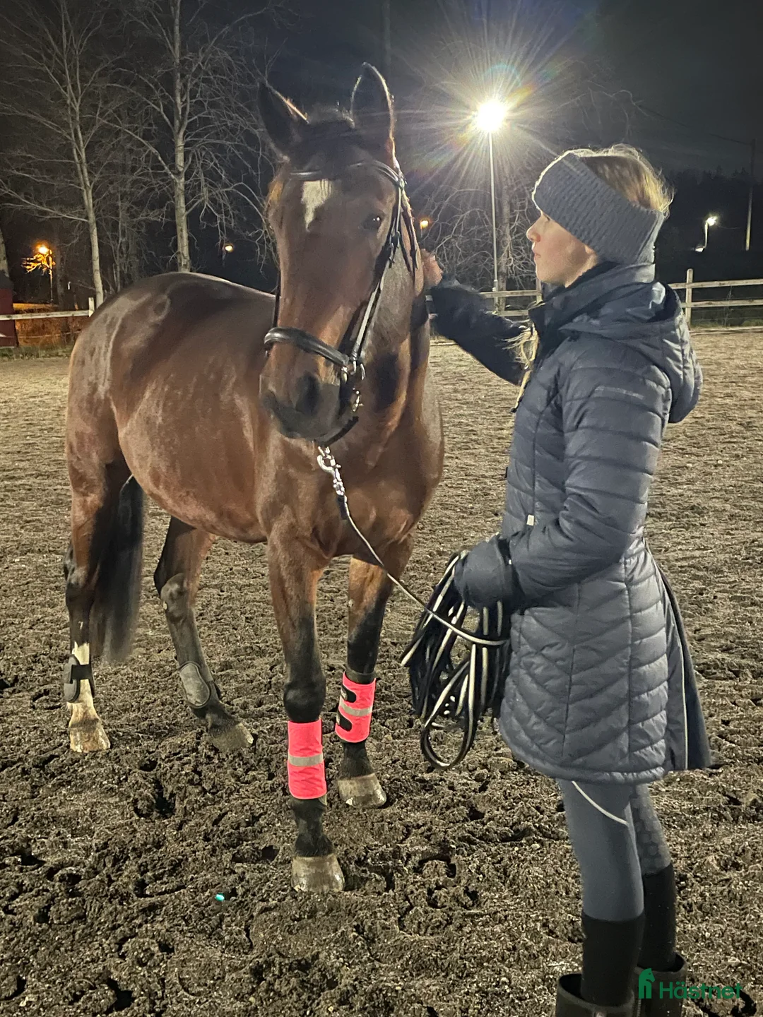 Sällskap hästar till salu: Världens mysigaste Cassie! - Annons 5