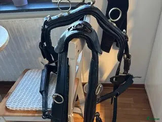 Övrig utrustning övrig utrustning till salu: Loksele, Träningssele, tömkörning COB o Brukshäst. - Annons 9