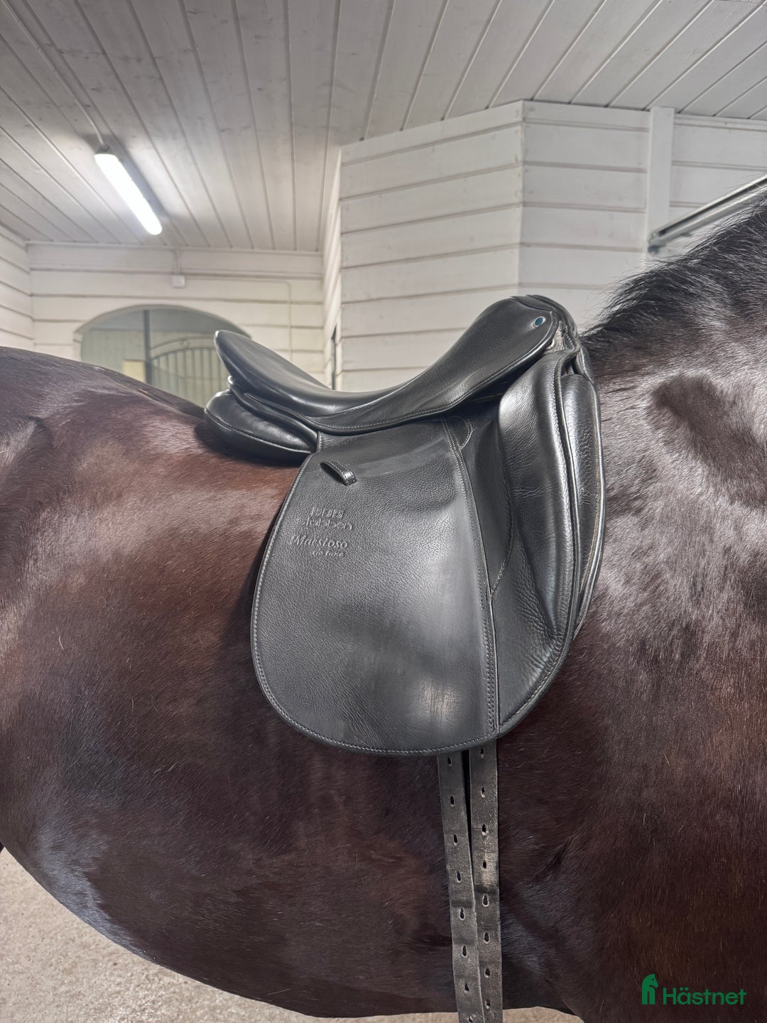 Sadlar hästutrustning till salu: Stubben i Grängesberg - Annons 3