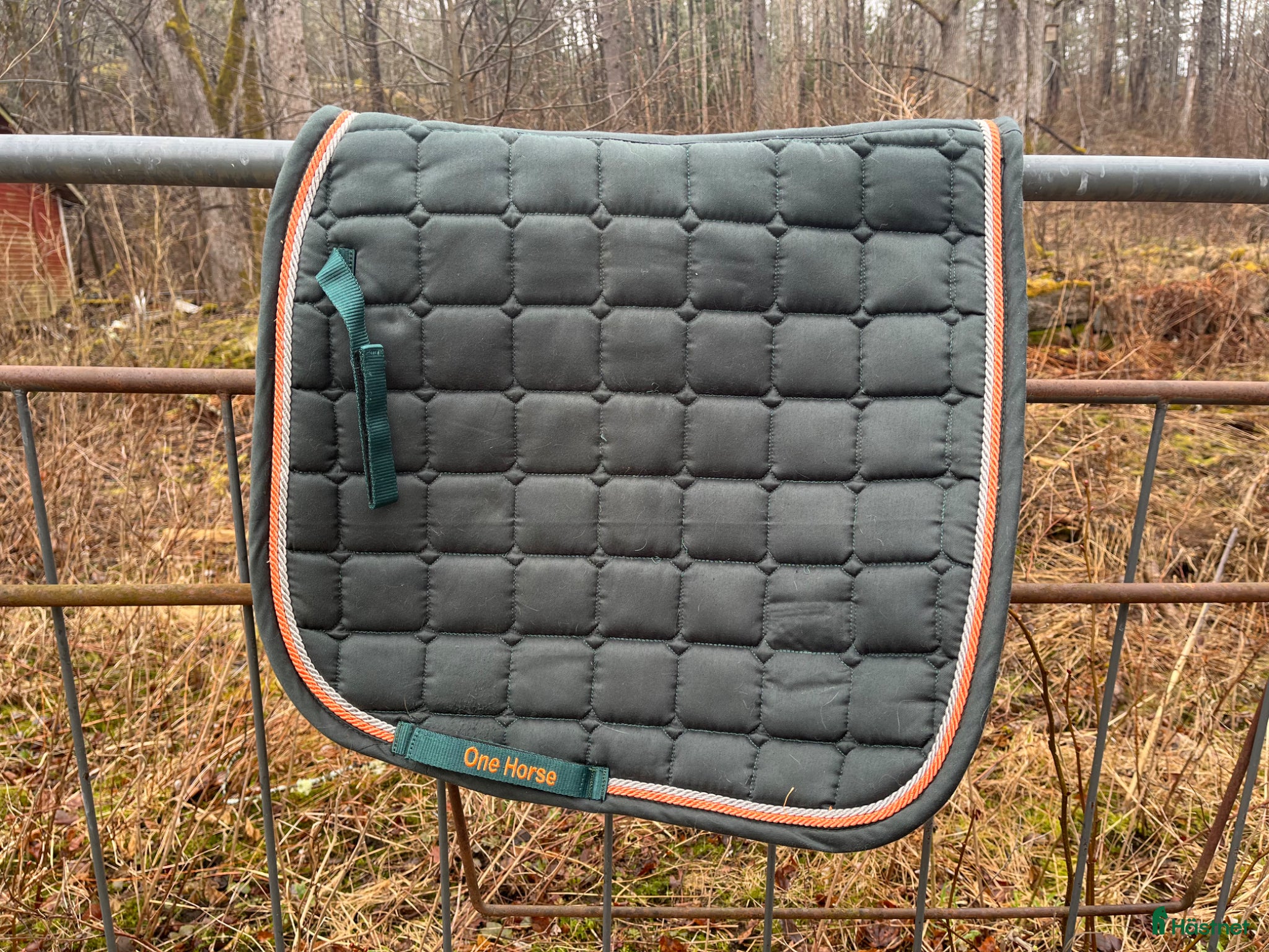 Schabrak & Vojlockar hästutrustning Dressyrschabrak strl full - Annons 1