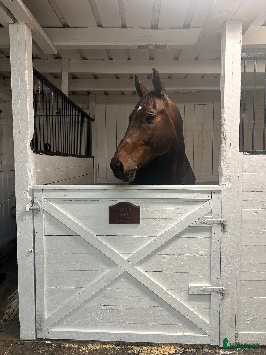  stallplats finnes: Stall uthyres!  i Huddinge - Annons 3