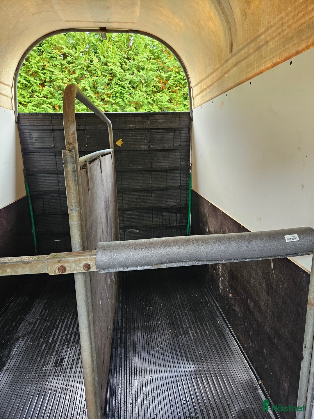 Hästtransporter  fordon & transport till salu: Boj Bravo i Ljungbyhed - Annons 4