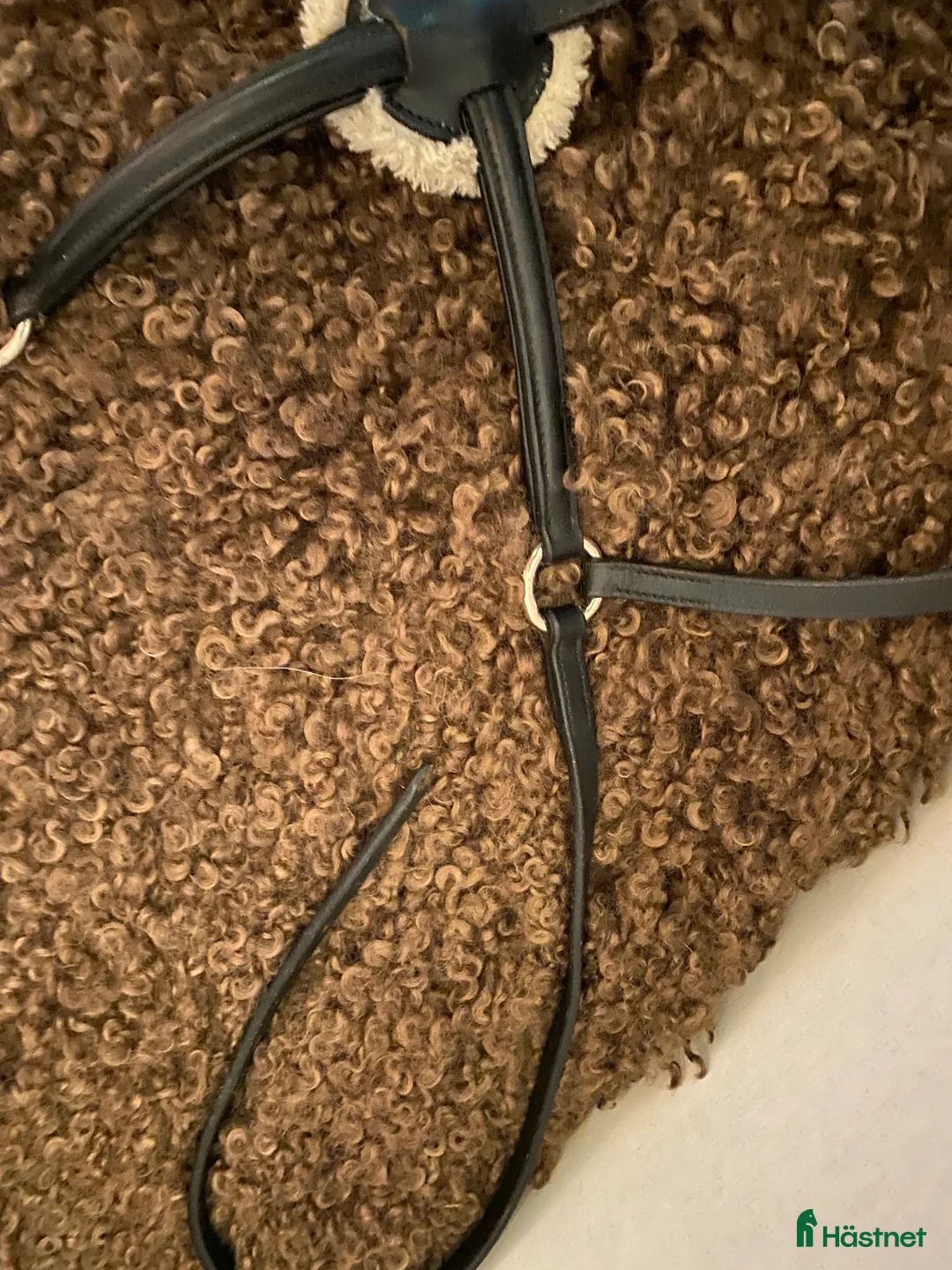 Träns hästutrustning till salu: Träns och lädergrimma säljes! i Frillesås - Annons 2