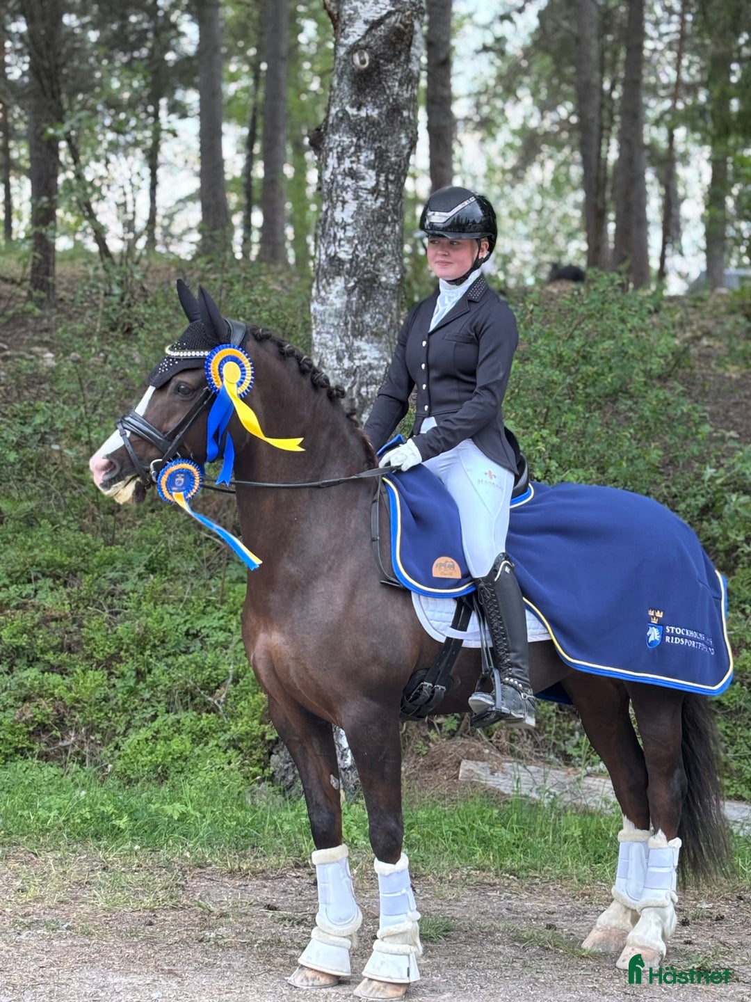 Dressyr hästar till salu: 🌟Magisk ponny söker liten dressyrryttare med ❤️ i Vaxholm - Bild 7
