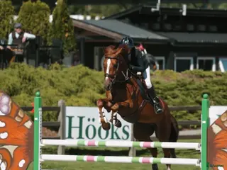 hästar Hopphäst med mycket kapasitet - Annons 4