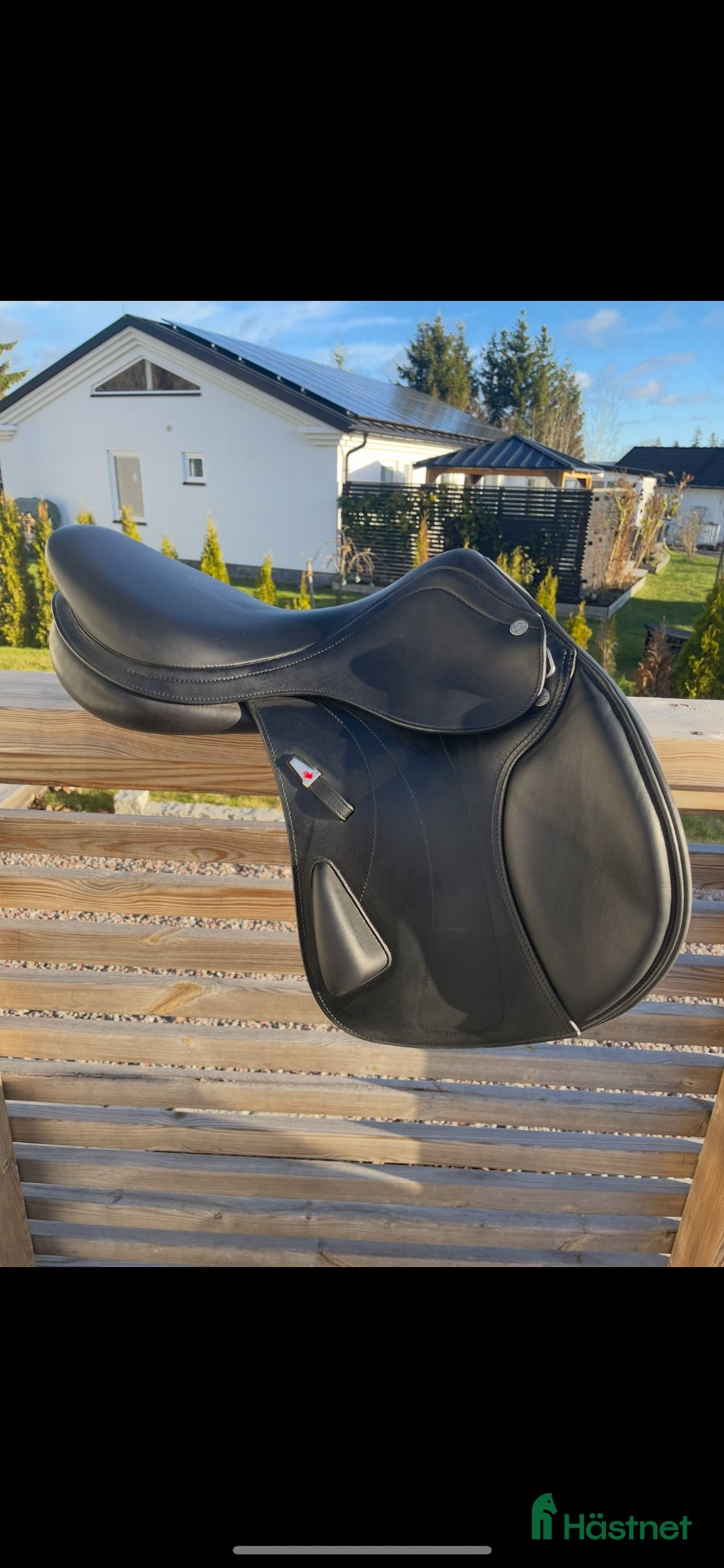 Sadlar hästutrustning Equipe Rarity 16  - Annons 16